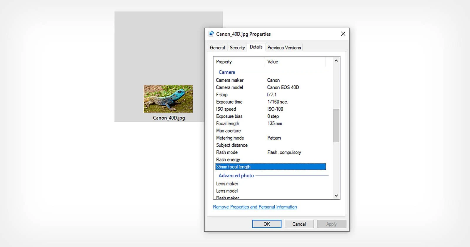 Access EXIF data in images on Windows