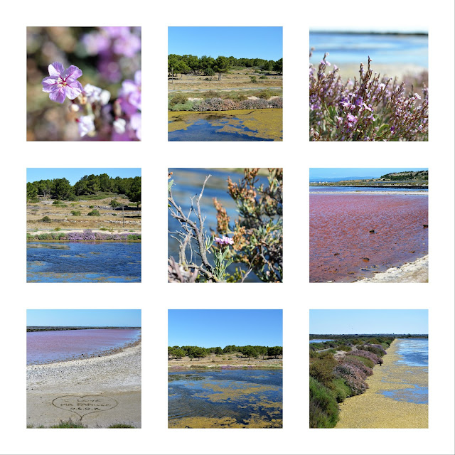 moodboard les salins de gruissan