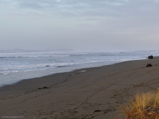 sand and footprints and waves