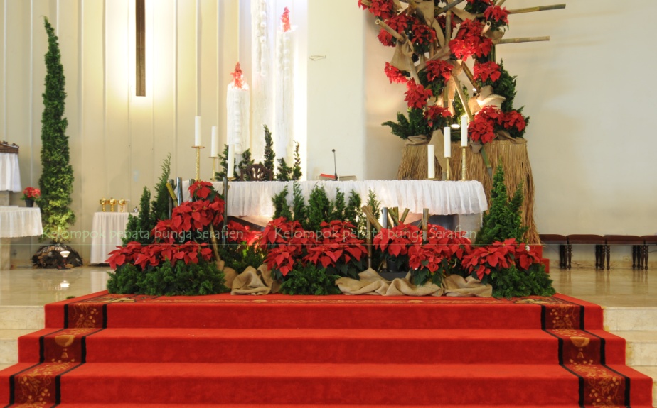 Serafien Perangkai Bunga  Liturgis Dekorasi Natal  dari 