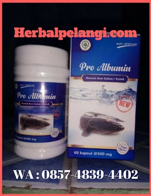 Jual Kapsul Pro Albumin Di Pulau Morotai | WA : 0857-4839-4402