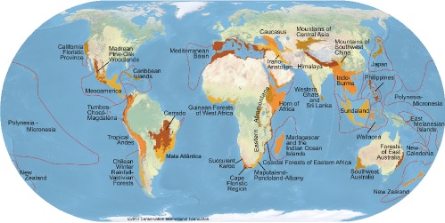 Hot spot geografia