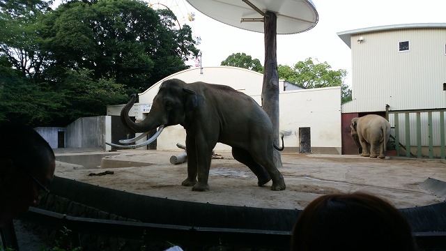 王子動物園