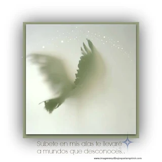  Enviar imagenes a facebook