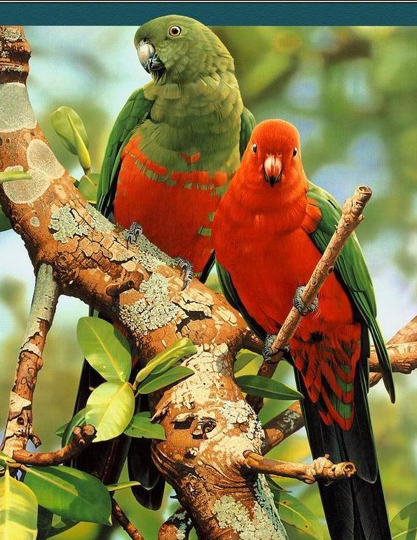 What a Colours..? Seen On www.coolpicturegallery.us