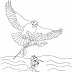 The Ant And The Dove - Aesop Fables Coloring Page