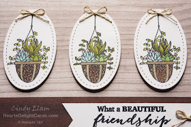 Heart's Delight Cards, Hanging Garden, Friendship, Succulents, Stampin' Up!