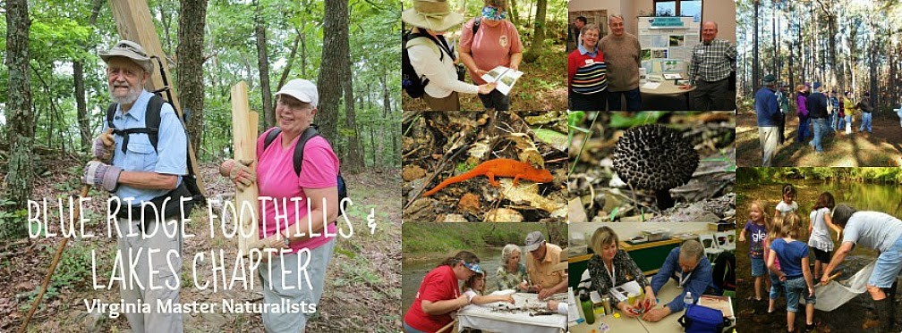 Blue Ridge Foothills & Lakes Virginia Master Naturalists