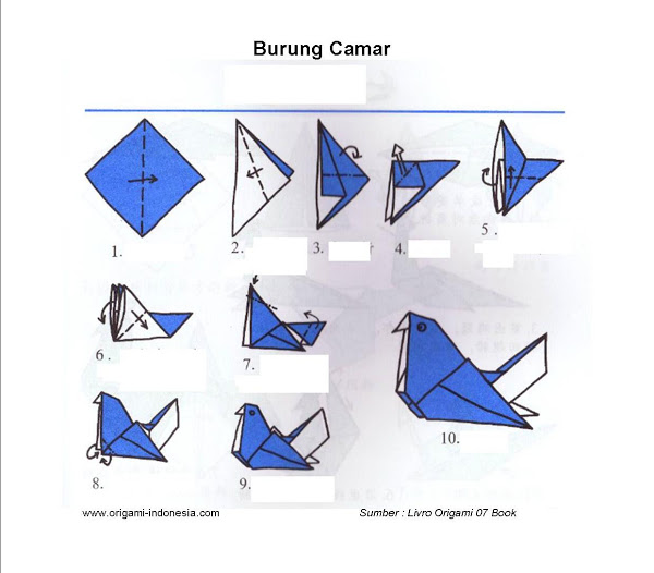  CARA  MEMBUAT  ORIGAMI  LIPATAN KERTAS BURUNG  CAMAR ANAK 