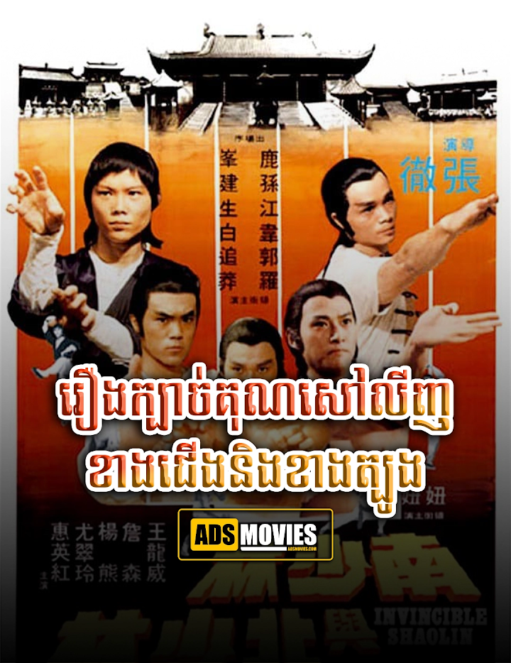 រឿងក្បាច់គុណសៅលីញខាងជើងនិងខាងត្បូង