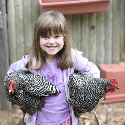 Backyard Chickens: What You’ll Need to Choose and Care for your New 