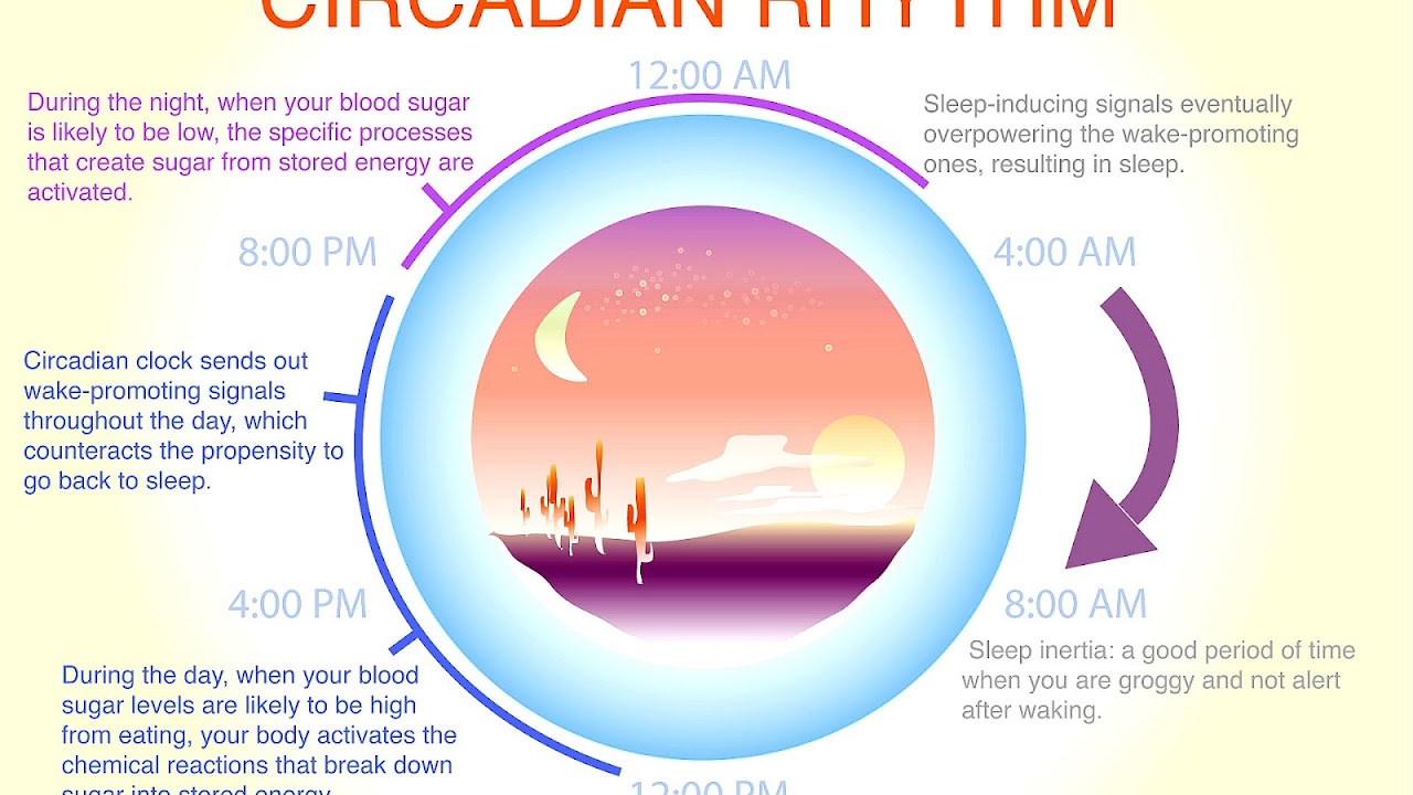 Shift work sleep disorder