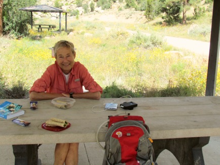 PicnicAreaforLunch-2-2012-09-28-14-27.jpg