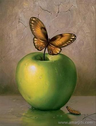 illusion-amarjits-com (4)