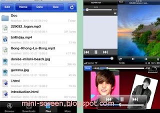 Free Download Manager Lite Application Interface on iPhone