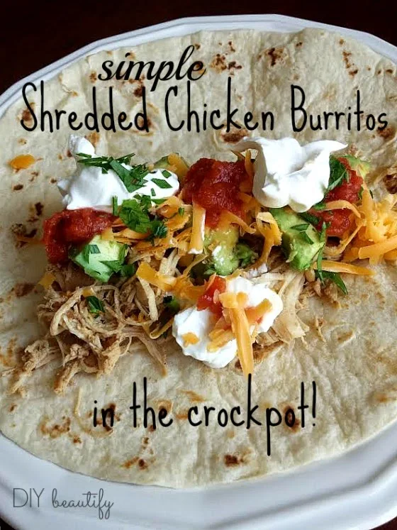 shredded chicken burritos