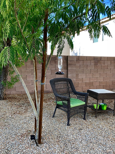 hummingbird feeder all hung up