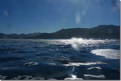 Foamy water heading out to Deep Water Cove