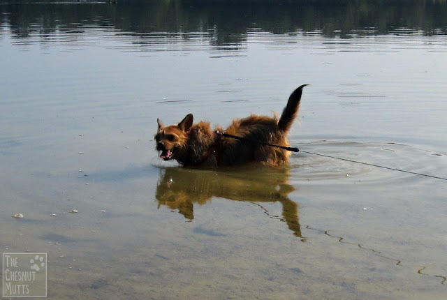 Jada getting dirty in the lake