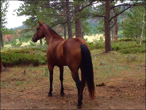 WY 2012 299