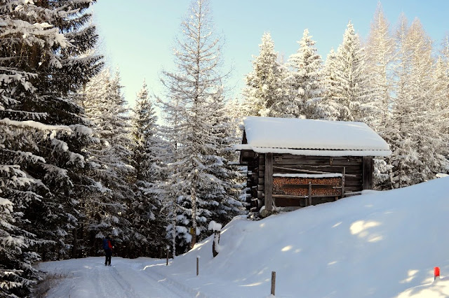 austria ciaspolate escursioni invernali neve