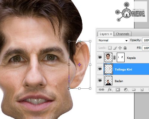 gunakan filter liquify untuk mengubah bentuk gambar telinga  - Mengubah Foto Menjadi Karikatur Dengan Photoshop