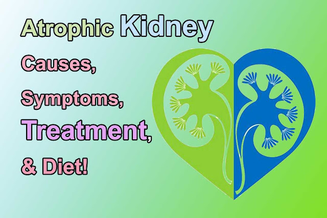 Atrophic Kidney – Causes, Symptoms, Treatment, & Diet!