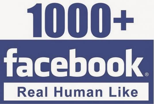 I will provide you 1000+facebook fan page like guranteed+30 days refill