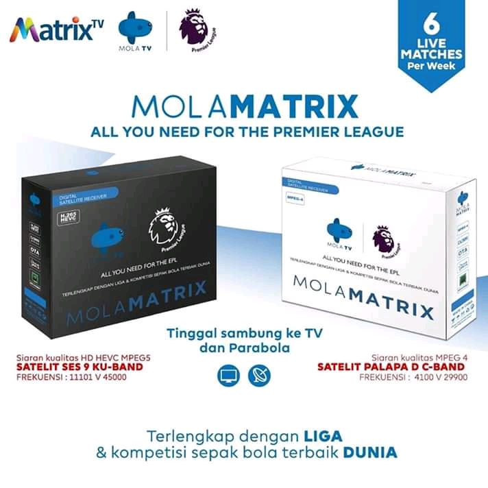 spesifikasi mola matrix