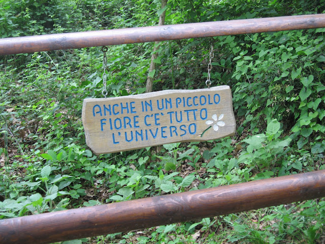 monte barro, trekking, lombardia, natura, panorami