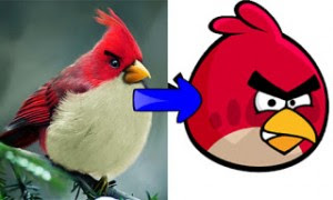Bentuk Burung Angry Birds Di Dunia Sebenar