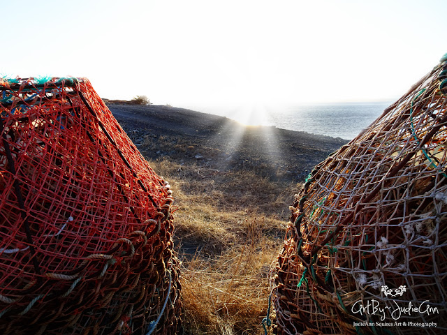 Newfoundland Scenery Prints