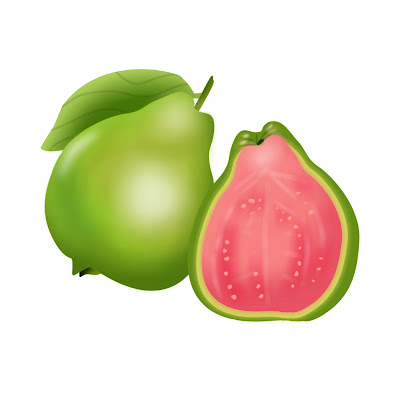 A Pencil Sketch and Free Cartoon Images of Guava