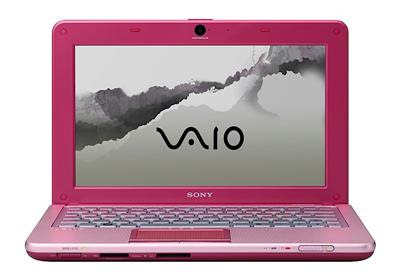 Sony VAIO W Series laptop