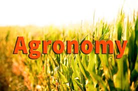 What is Agronomy, Importance of Agronomy In  Pakistan And Principles of Crop Production?