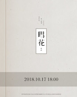 181001 Apink’s Jung Eun Ji To Release Her New Album On This October