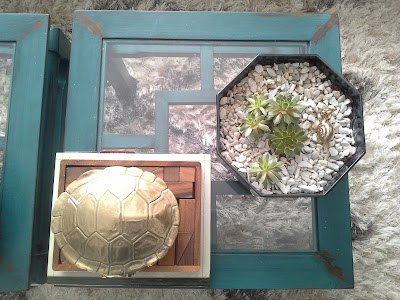 succulent plants coffee table, nate berkus gold turtle, succulent plants
