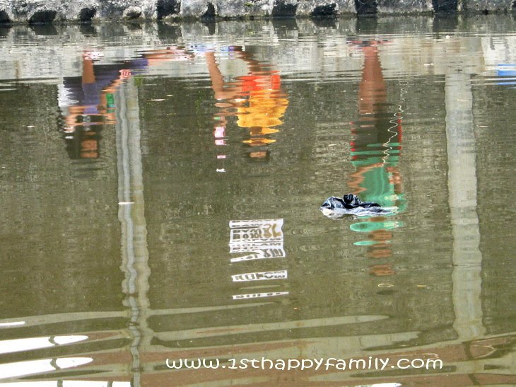 pond food chain for kids. Across the pond, I saw three