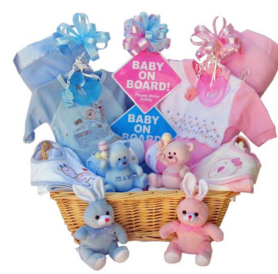 Baby  Gift Ideas on Twin Babies  Gift Ideas For Baby Girls  Baby Boys  And Twins