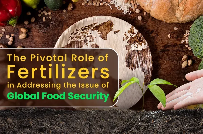  Global Food Security Challenges: Addressing with Fertilizers