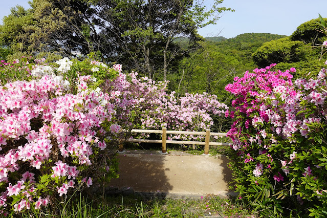 島根県松江市美保関町美保関 五本松公園