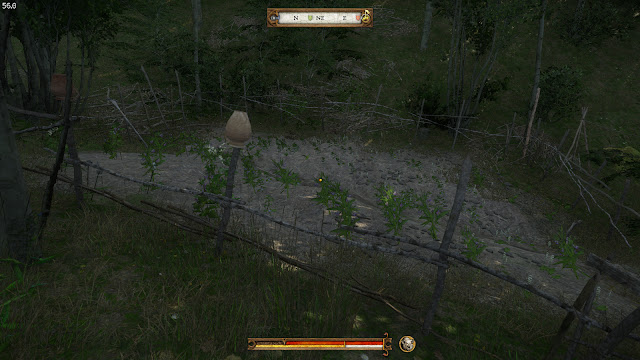 Guía para ganar dinero rápido y subir Herboristería en kingdom come deliverance