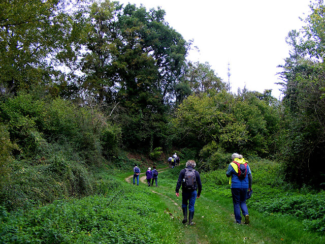 Walking across a valley, Indre et Loire, France. Photo by Loire Valley Time Travel.