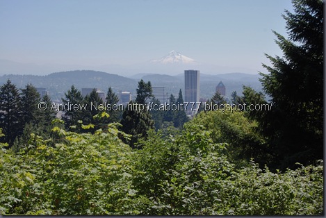 DSC_0406 (2)