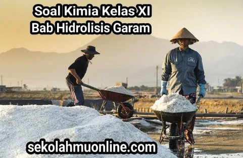 Soal Kimia Kelas XI Bab Hidrolisis Garam lengkap dengan kunci jawabannya