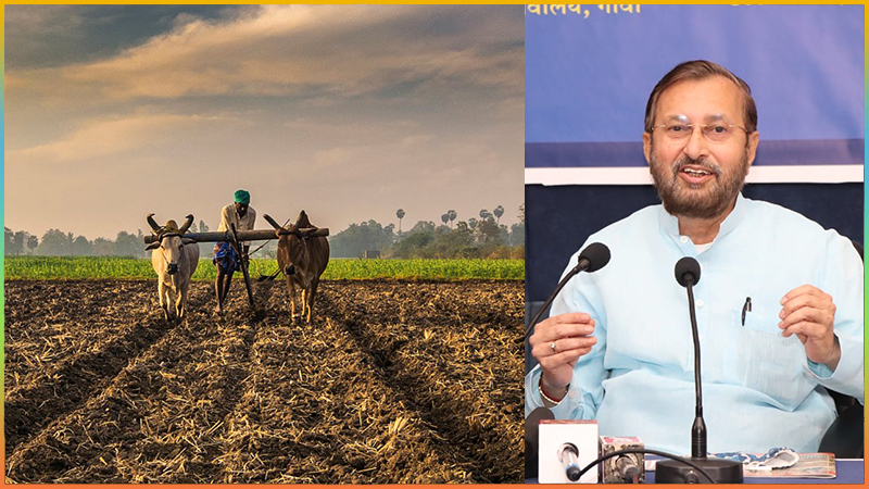 Three Farm Reform Laws Will Change the Fortune of Agriculture in India Country-Union Minister Prakash Javadekar