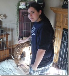 shelbydeer