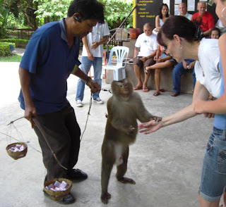 Shaking Hands