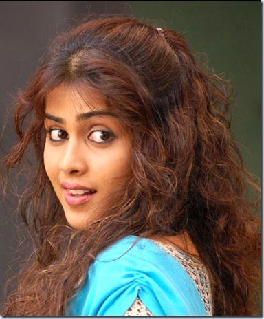 genelia-wallpapers