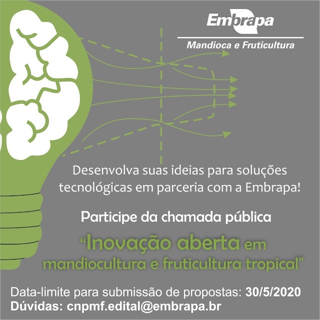 Embrapa Mandioca e Fruticultura lança edital de inovação aberta